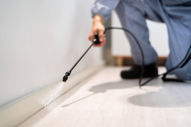 Licensed Pest Control service in Bellwood, VA - Show Me Pest Control